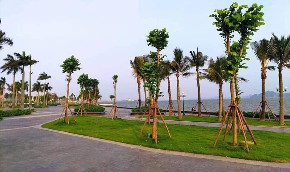 Sonny Homestay 2 -Can Lien Ke 5Pn -Khu Greenbayvillage - Duong Hoang Quoc Viet -Trung Tam Kdl Bai Chay Ha Long Bagian luar foto